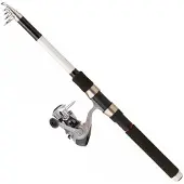 Daiwa Sweepfire Tele+q830fm Spinn-kombo