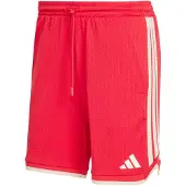 Adidas Shorts JZ6857 für Herren