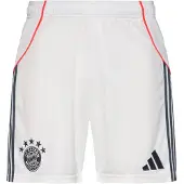 Adidas Herren Teamhose FC Bayern München 25/26 Auswärts