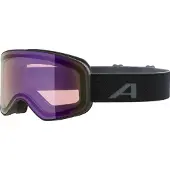Alpina - Slope Q S2 - Skibrille bunt