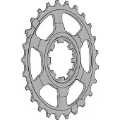 Miche Campagnolo 11s Last Position Ritzel