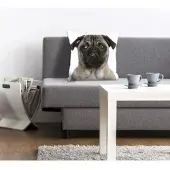 Queence Dekokissen "Mops", schwarz (beige, schwarz, bedruckt), B:40cm L:40cm, Polyester, Dekokissen_Sitzkissen_Kissenhüllen, Dekokissen, mit einem Mops