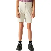 Dare 2b Reprise Iii Kurze Hose