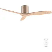 Cecotec Energysilence Aero 5400 Deckenventilator