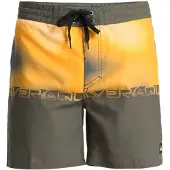 Quiksilver Boardshorts "Everyday 16", Herren, Gr. 30S, gelb (grape leaf wordblock), Obermaterial: 100% Polyester., Hosen Boardshorts