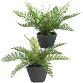 Creativ Green Kunstpflanze "Farn", grün, H:24cm, Kunststoff, Kunstpflanzen, Kunstpflanze, mit schönen Farnwedeln