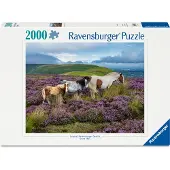 Ravensburger Wildpferde 2000p (12001751) Puzzle