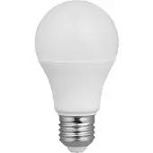 Alcapower Klassische LED-Glühbirne 10W E27 12-24V 3000K