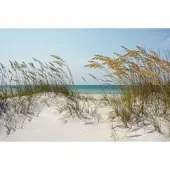 Papermoon Fototapete "Ocean Beach Dunes", bunt, B:3,5m L:2,6m, Vlies, Tapeten, Fototapete