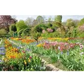 Papermoon Fototapete "Monets Garten", bunt, B:3m L:2,23m, Vlies, Tapeten, Fototapete