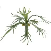 Creativ Green Kunstpflanze "Geweihfarn", grün, H:80cm, Kunststoff, Kunstpflanzen, Kunstpflanze, mit 12 Farnwedeln