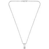 BOSS Kette mit Anhänger "BROOKS", silber (edelstahlfarben), Halsketten, Herren, Edelstahl, L: 56 B: 2mm, Kette mit Anhänger, B:2mm