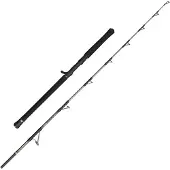 Penn Regiment IV Jig 6FT 30-50lb - Angelrute