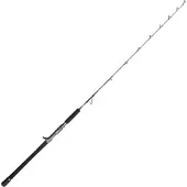 Penn Battalion Solid Boat Spiral Jig Baitcastrute Silber 1.75 m / 300 g Silber 1.75 m