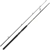 Penn Wrath Ii Spinnrute Silber 2.74 m / 20-60 g Silber 2.74 m