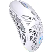 Endorfy LIV Plus - Maus - optisch - kabellos - Bluetooth, 2.4 GHz - kabelloser Empfänger (USB)
