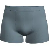 Icebreaker Men Merino Blend 125 Cool-lite Anatomica Boxers flint blue (0L2) M