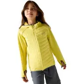 Regatta - Kid's Junior Andreson Hybrid - Hybridjacke Gr 10-11 Years gelb