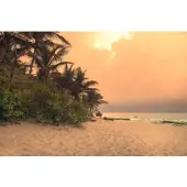 Papermoon Fototapete "Sri Lanka Tangalle Strand", bunt, B:2,5m L:1,86m, Vlies, Tapeten, Fototapete