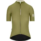 Q36.5 Dottore Pro Kurzarm-radtrikot