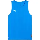Puma Teamjaws Starter Jersey Jr electro royal (08) 164
