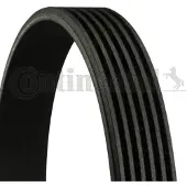 CONTITECH Keilrippenriemen 6pk2120 für FORD CADILLAC FIAT DAEWOO SSANGYONG MERCEDES-BENZ SUZUKI VW GENERAL MOTORS LEXUS