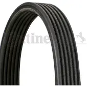 CONTITECH Keilrippenriemen 6dpk1195 für FORD VW (SVW)