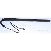 TRISCAN Gasfeder Koffer-/Laderaum Hub 182 mm IAM-Expertise passend für BMW X3