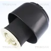 TRISCAN Luftfeder, Fahrwerk 872011201 für BMW