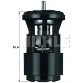 MAHLE ORIGINAL Thermostat, Kühlmittel TX 41 87D für CUPRA LAND ROVER