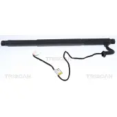 TRISCAN Gasfeder Koffer-/Laderaum Hub 108 mm IAM-Expertise passend für BMW X6