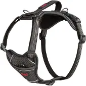 Halti Anatomy Dog Hundegeschirr