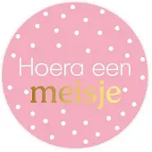 Merkloos Stickers Hoera een meisje Ø40mm 250st