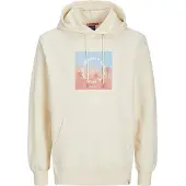 Jack & Jones Aruba Sunset Branding Kapuzenpullover