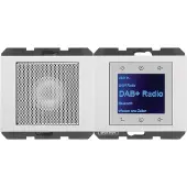 Berker 29807009 Radio mit Lautspr. DAB+ K.x pw. gl.