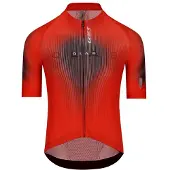 Q36.5 Gregarius Clima Q Lab Kurzarm-radtrikot