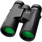 Shilba Raptor 10x42 Fernglas