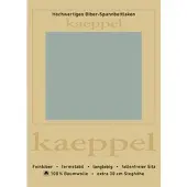 Kaeppel Spannbettlaken "Spannbettlaken Biber", grün (jade), L:200cm, Biber, Obermaterial: 100% Baumwolle, Bettlaken, Spannbettlaken, 100% Baumwolle, kuschelig weich ideal für Winter