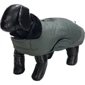 Designed By Lotte Hundemantel Zhanti - Grün - 44 cm