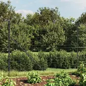 Syfax Maschendrahtzaun Anthrazit 1,4x10 m Verzinkter Stahl