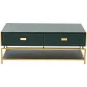 AEA Wohnzimmer Couchtisch Luxus Design Stil Modern Couchtische Holz Grün