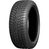 Evergreen EW66 225/50 R17 98H XL Winterreifen