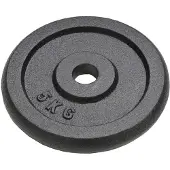 vidaXL Hantelscheiben 4 Stk. 4x5 kg Gusseisen