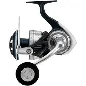 Daiwa 21 Certate SW, 8000-P, Beidhändig, Meeres Spinning Angelrolle, Frontbremse, 10315-081