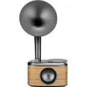 Sangean CP-100D, Tragbar, Digital, DAB+, FM, 4 Ohm, 5,08 cm (2"), Schwarz, Gold