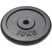 vidaXL Hantelscheiben 2 Stk. 2x10 kg Gusseisen