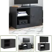The Living Store TV-Schrank Schwarz 67x39x44 cm Stahl