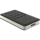 DeLOCK 42594, SSD-Gehäuse, M.2, SATA, 5 Gbit/s, USB Anschluss, Schwarz, Silber