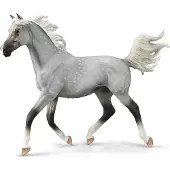 Collecta Handbemalte Halbaraber-Grauhengstfigur