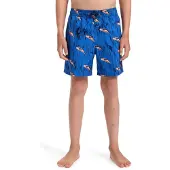 Quiksilver Badeshorts "Next Gen 14", Kinder, Gr. 10, blau (estate blau roots), Obermaterial: 100% Polyester., Badehosen Badeshorts